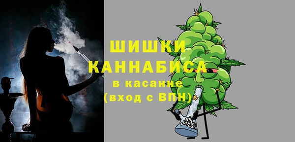 шишки Пересвет