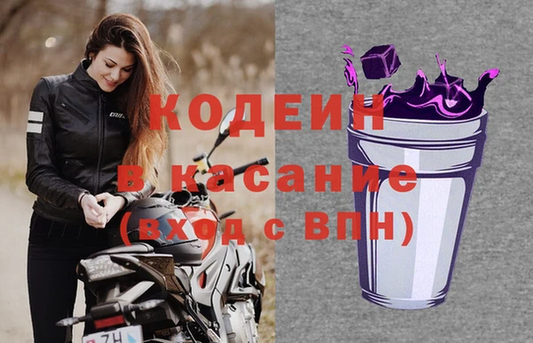 шишки Пересвет