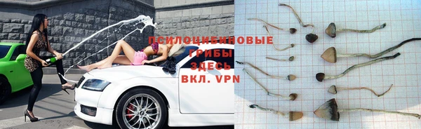 прущая мука Армянск