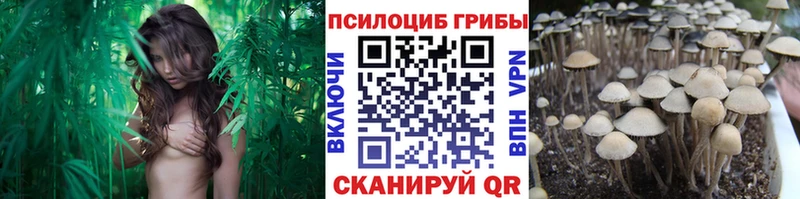 наркошоп  Приволжск  Галлюциногенные грибы MAGIC MUSHROOMS 